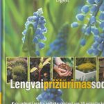 Lengvai prižiūrimas sodas