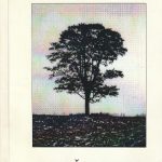 Gediminas Sapetka. Vienišas medis