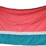 Tarybinė vėliava, LTSR