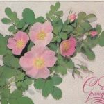 Atvirukas "Su gimimo diena" (rusų k.), 1987