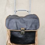 Pirkinių krepšys su ratukais